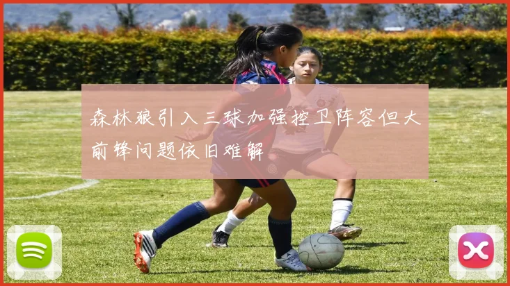 森林狼引入三球加强控卫阵容但大前锋问题依旧难解